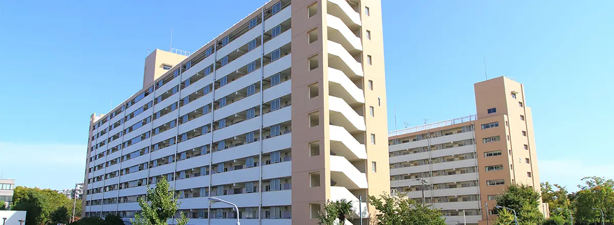 団地管理組合の類型と現状