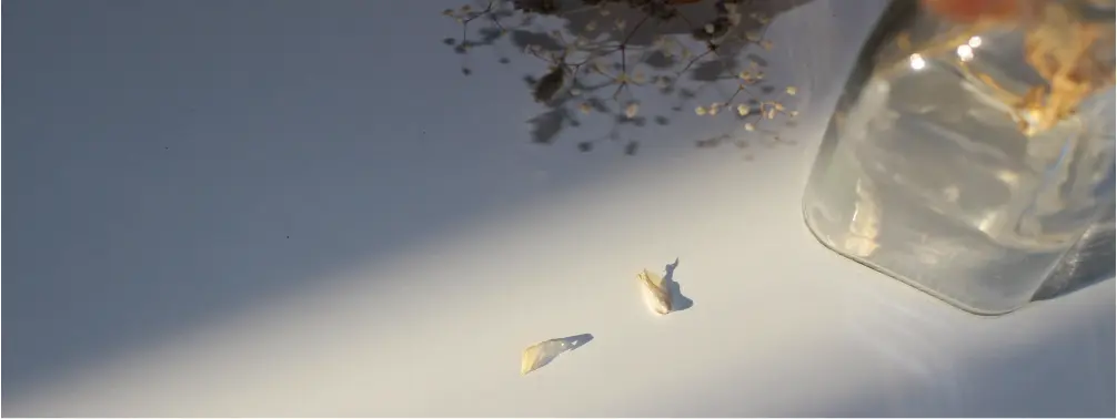 孤立死対応マニュアル～社内資料をあえて公開～