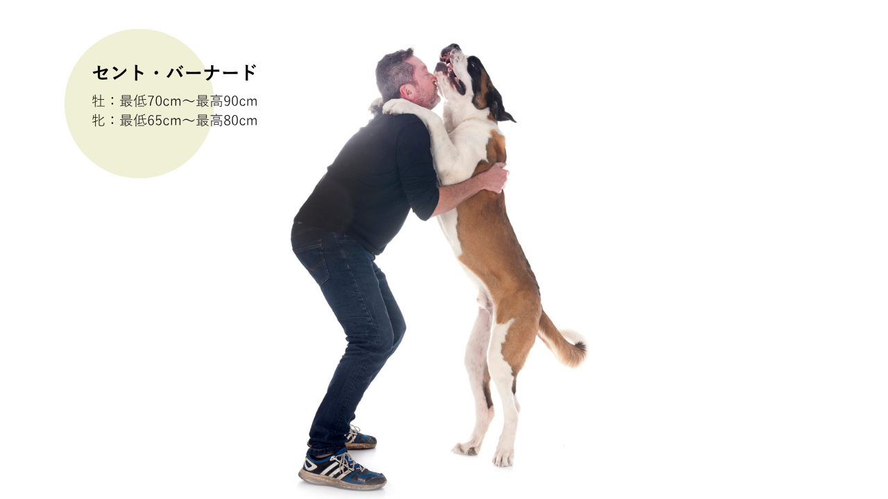 C212_7.png